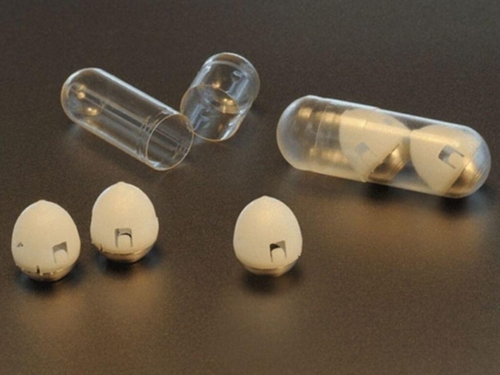 Scientists Invents Tortoise-Shaped Pill That Could End Use Of Injections