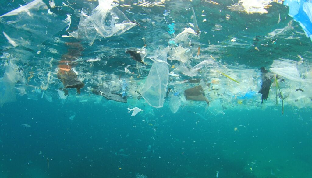 By 2050, The Seas Could Contain More Plastic Than Fish
