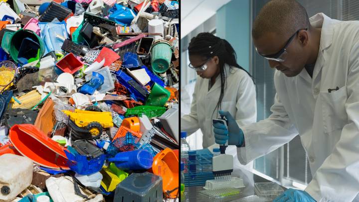 Researchers develop an enzyme that can break down plastic in just 24 hours rather than centuries